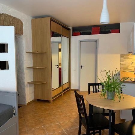 Old Studio Apartment ヴィリニュス エクステリア 写真