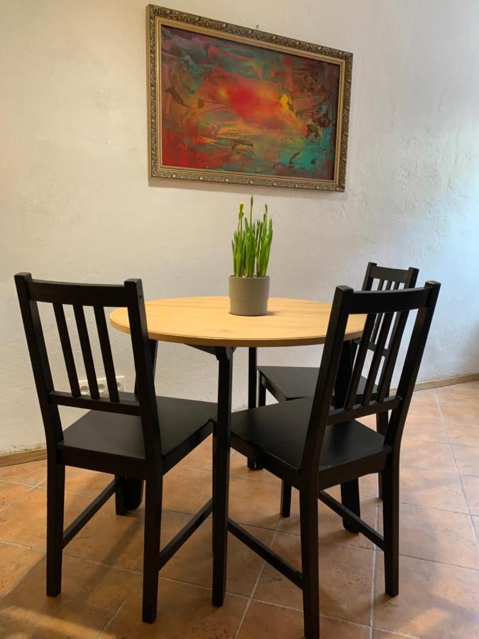 Old Studio Apartment ヴィリニュス エクステリア 写真