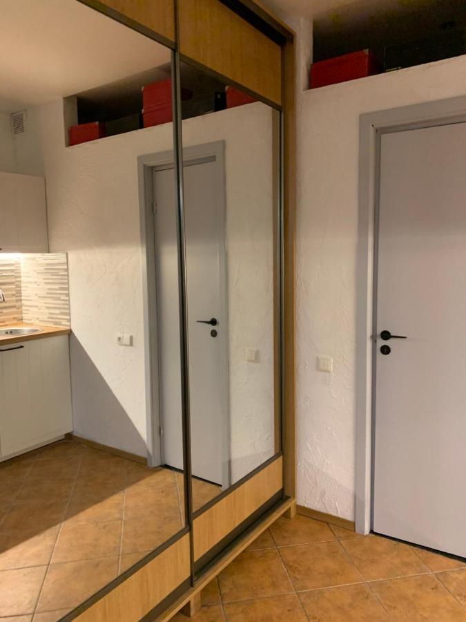 Old Studio Apartment ヴィリニュス エクステリア 写真