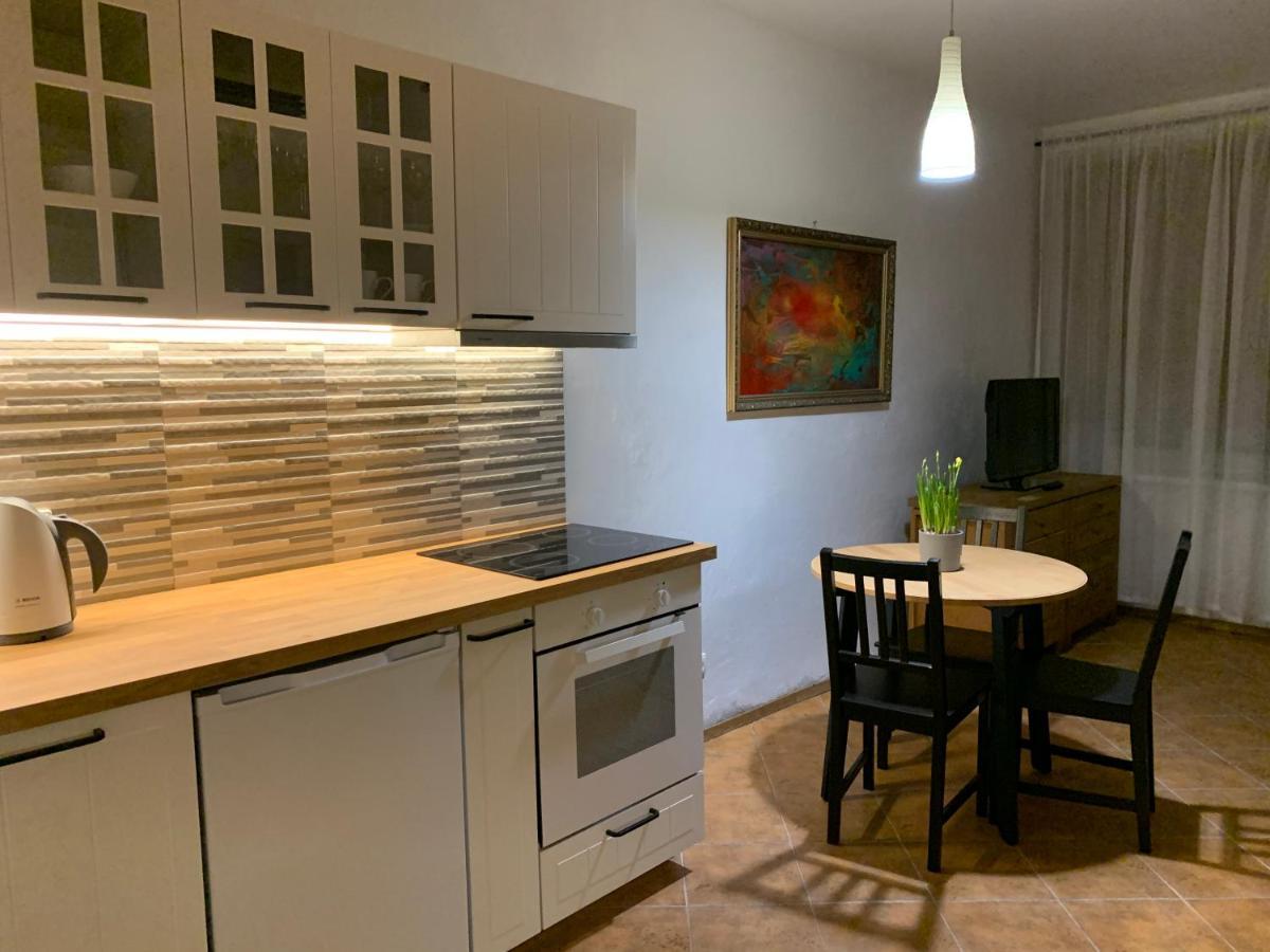 Old Studio Apartment ヴィリニュス エクステリア 写真