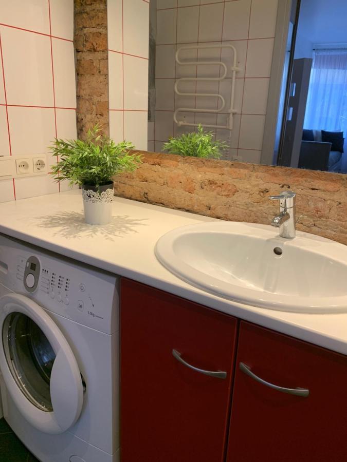 Old Studio Apartment ヴィリニュス エクステリア 写真