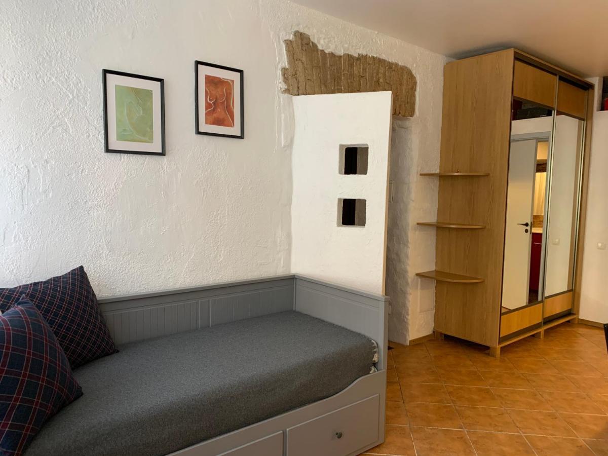 Old Studio Apartment ヴィリニュス エクステリア 写真