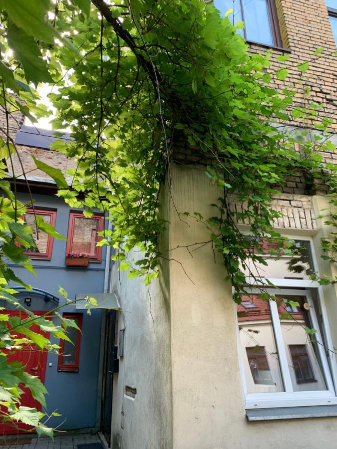Old Studio Apartment ヴィリニュス エクステリア 写真