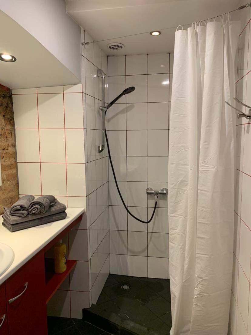 Old Studio Apartment ヴィリニュス エクステリア 写真